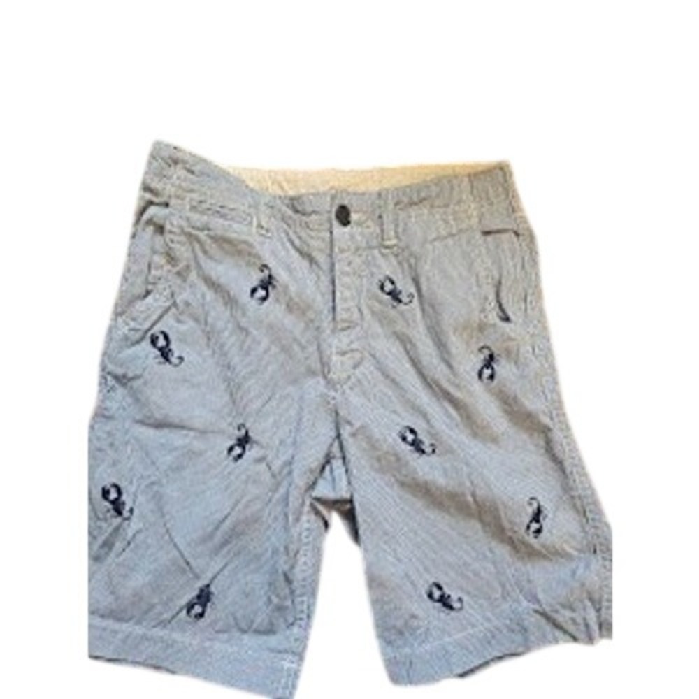 Gap Kids Boys Blue White Seersucker Scorpion Embroidered Shorts Size 10 Regular